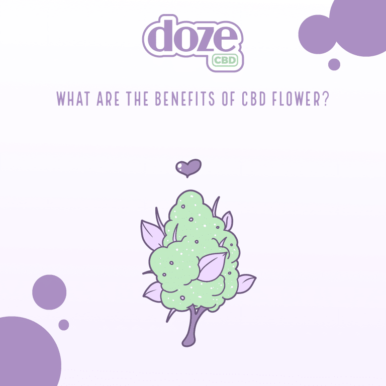 Read more about the article What Are the Benefits of CBD Flower?