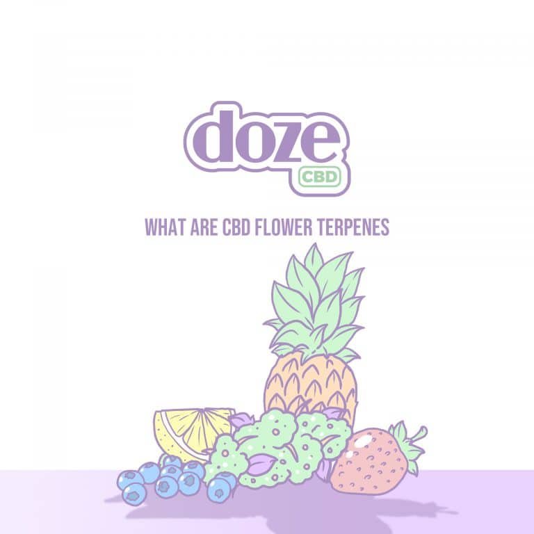 Read more about the article What are CBD Flower Terpenes?