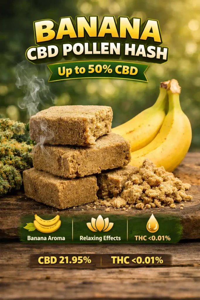 420budshop Banana CBD Golden Hash Instargram Post