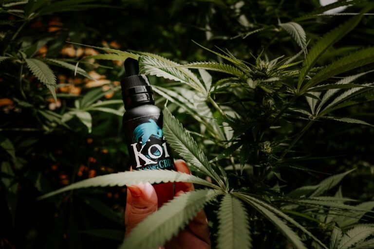 Read more about the article Interactions of CBD With Medications and Foods