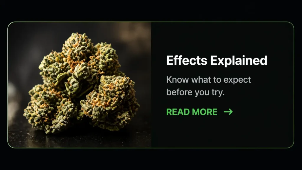 420budshop Blogs
