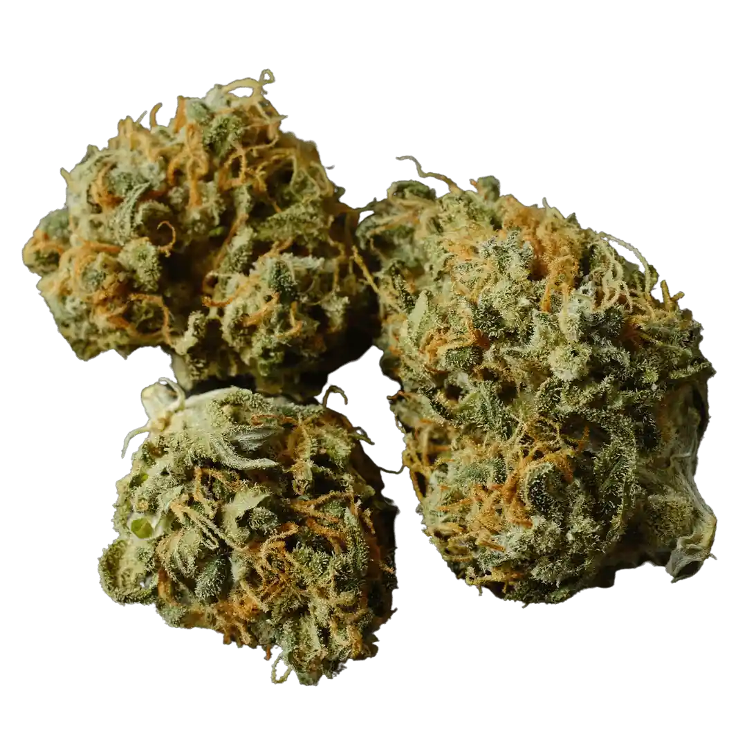 White Gorilla CB9 Flower 39.40% premium hemp flower 1
